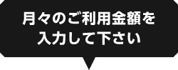 月々のご利用金額を入力して下さい