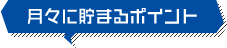 月々に貯まるポイント